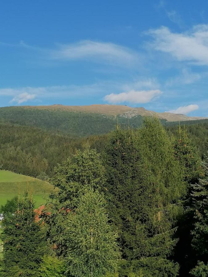 Apartment Familie Pichler Neumarkt in Steiermark