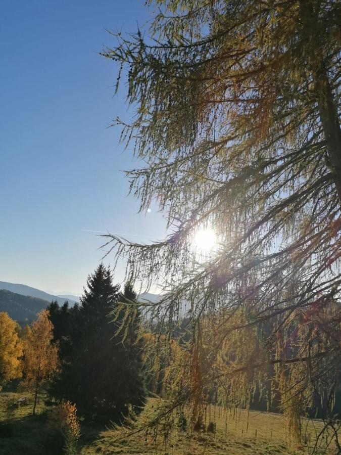 Familie Pichler * Neumarkt in Steiermark